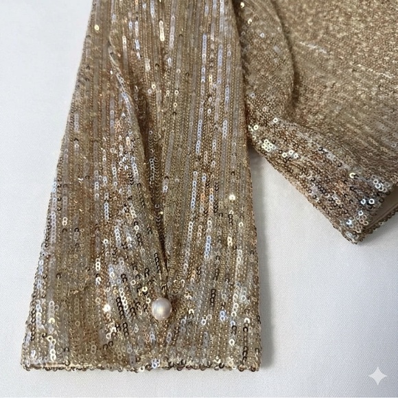 Maje Champagne Sequin V-Neck Button-Front Top - Picture 6 of 7